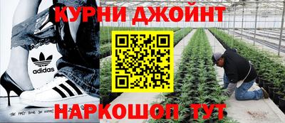 spice Бузулук