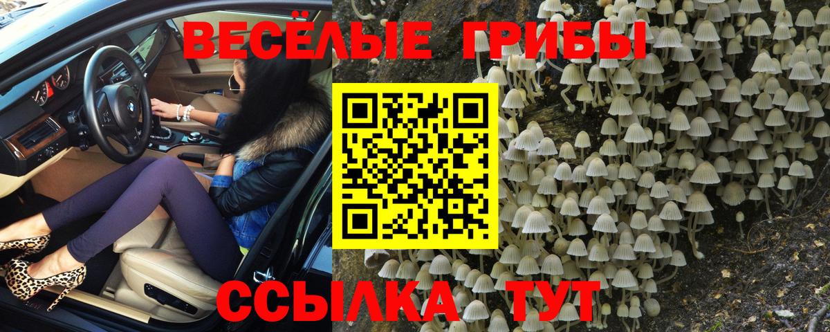 Прокопьевск  Псилоцибиновые грибы MAGIC MUSHROOMS  Вход с VPN 